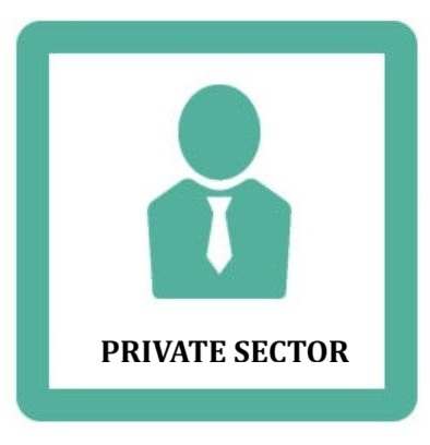 Private Sector Partners